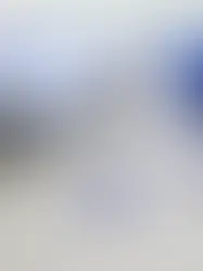 Согласно опросу, швейцарцы против повышения НДС для финансирования армии