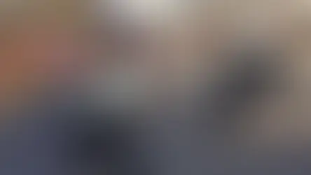 Фестиваль Zurich Pride отменяется из-за финансовых трудностей и смены ориентиров