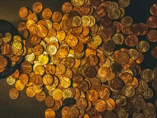 История неудачливого кладоискателя или от клада до тюрьмы – один шаг