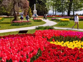 Ежегодная выставка тюльпанов в Морже