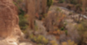 flamingo travel agency, valle de Jere/tebinquiche