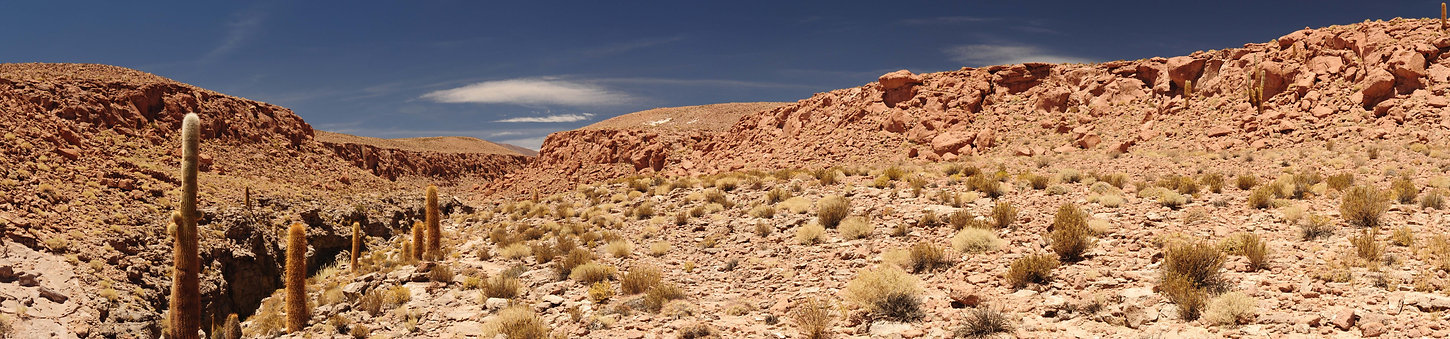 Trek guatine, Flamingo travel agency, San Pedro de atacama
