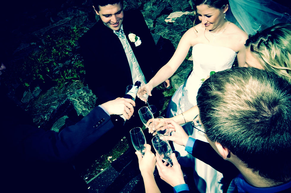 Wedding Toast Moment