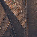 Brown Leaf