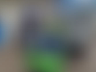 Der Erste seiner Art!