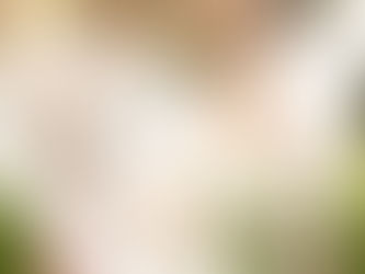 Unveiling Love: Capturing The Moment - A Wedding Day Story