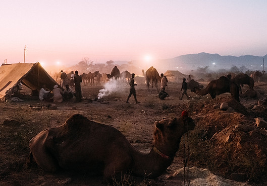 Pushkar