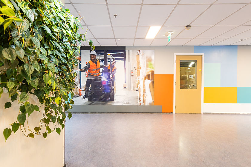 vlakken met plant.jpg