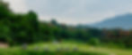 11062b_e74a556b152f48c8b5b42b07767ed07c~mv2_edited_edited.jpg