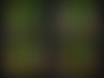 คอลัมน์"จับชีพจรวงการพระ"ประจำวันศุกร์ที่ 22 ธันวาคม 2566