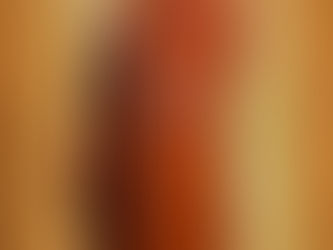 พระญาณรักขิต(แผน โสภโณ)วัดภูปูนในฝัน
เจ้าคณะจังหวัดกาฬสินธุ์(ธรรมยุติกนิกาย)