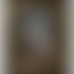 About Trans, in Iasi, Romania