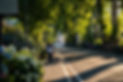 street-Buivanhongphuc.jpg