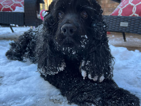 Frozen