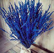 lavanda.jpeg