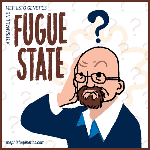 64182db0ba65bb1db0158836_fugue-state_edited.png