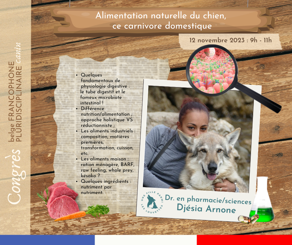 Webinaire "Alimentation naturelle du chien, ce carnivore domestique"