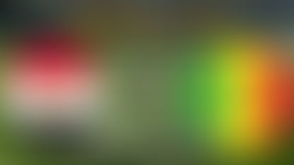 مشاهدة بث مباشر مباراة مصر والسنغال اليوم في نهائي أمم إفريقيا.. تحديث لينك مباشر