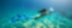 Mermaid Elle Saving the Seas Underwater Ocean Plastic Pollution.jpg