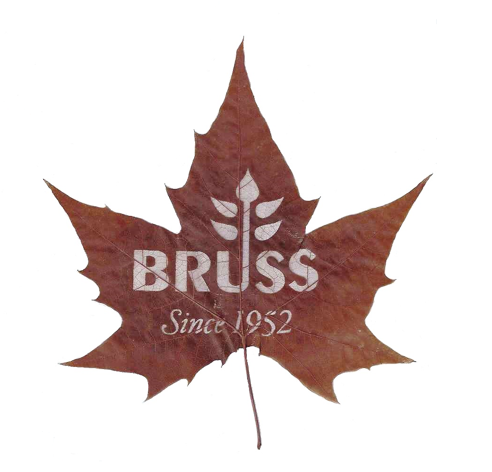 Bruss 1952