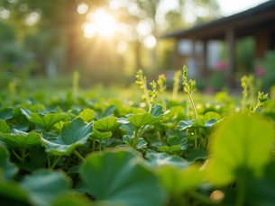 The Importance of Sustainable Living in Today's World