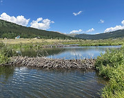 Alma Beaver Ponds - J.jpg