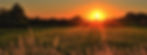 SunriseField.jpg