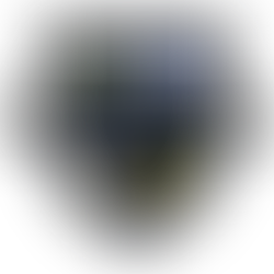 Kenmore Rugby Club logo