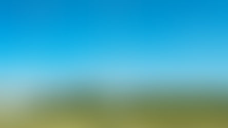 Rugby goalposts rising above a grass rugby pitch under a clear blue sky