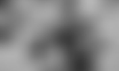 The Director's Desk: Become a Sponsor of Kenmore Rugby!