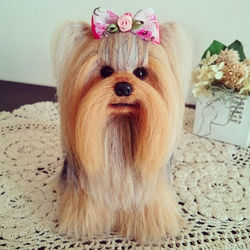 ヨークシャーテリア