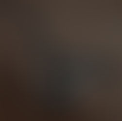 11/29 臨時休業のお知らせ