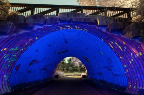 Duluth - The Cosmic Tunnel .jpg