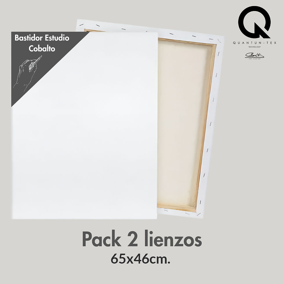 Pack 2 Lienzos 15M/65X46 Bastidor (46x17mm.)