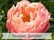 Canadian Gardener Card.png
