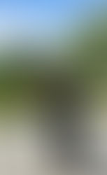 Ny barselsvikar i Fårup og Sabro Kirke