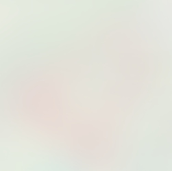 Årets sidste cykeltur