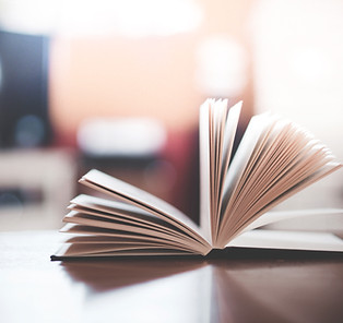 Open Book Manuscript Overview
