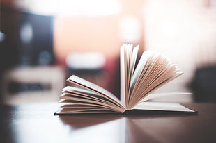 libro abierto