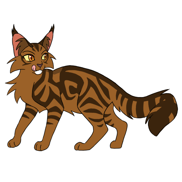 Tigerkit