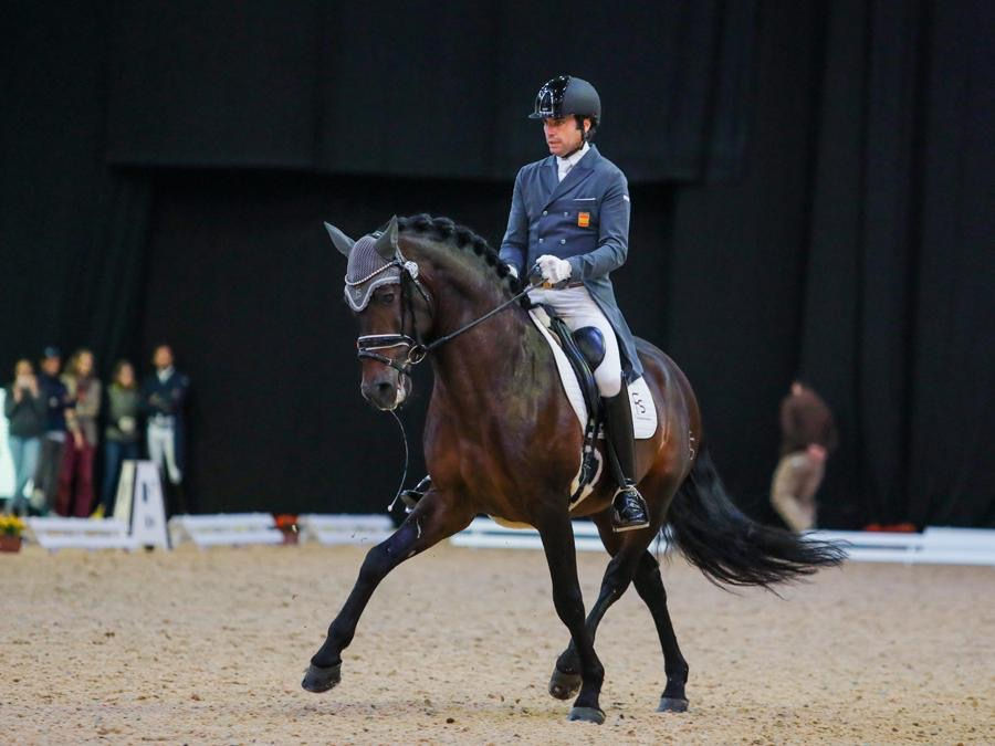 Dressage horse rider Jose Danile Martain Dockx and horse