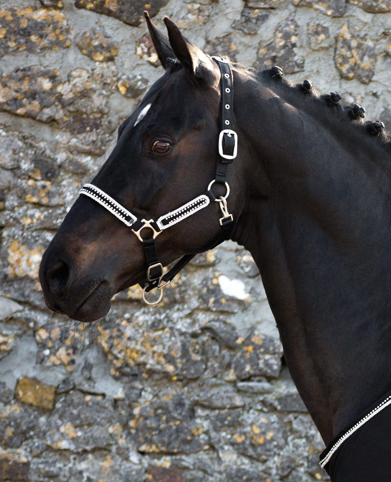 Rambo Diamante riimu