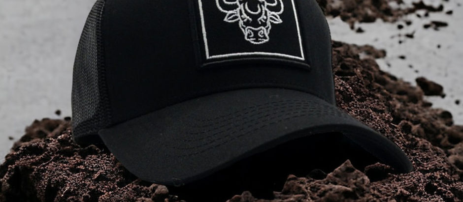 Unveiling the Essence of Taurus: Traits That Define the Bull