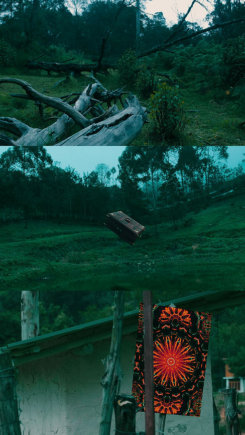 03.jpg