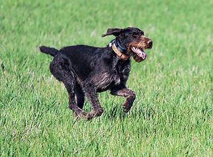 IMG_8888 (1)_edited.jpg