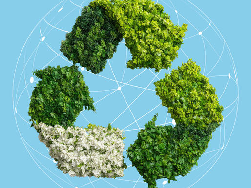 Green plants form a recycle symbol on a light blue background with a subtle web-like pattern, symbolising nature and sustainability.