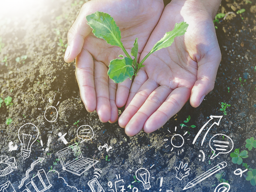 Hands cradle a green seedling on soil, surrounded by white sketches of tech and nature symbols. Soft light creates a hopeful mood.