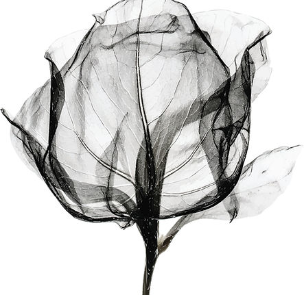 AdobeStock_584459021.jpeg