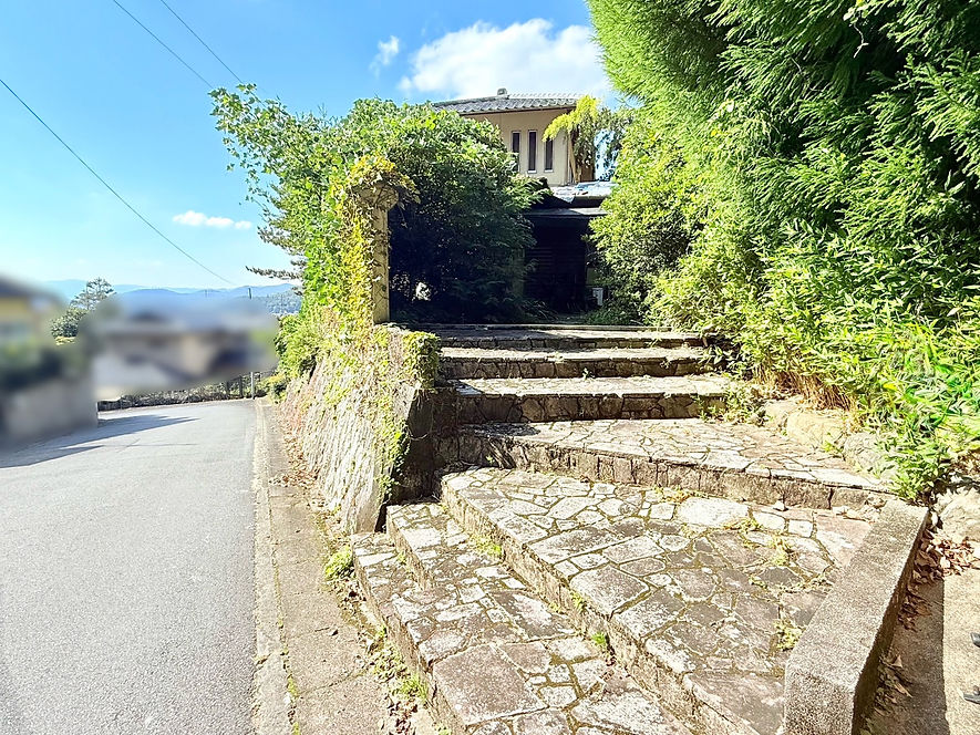 S__7667717.jpg