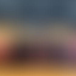 【'21 卒業論文本発表】